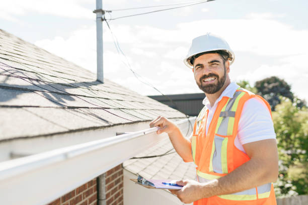 Best Roof Moss and Algae Removal  in Campbell, OH